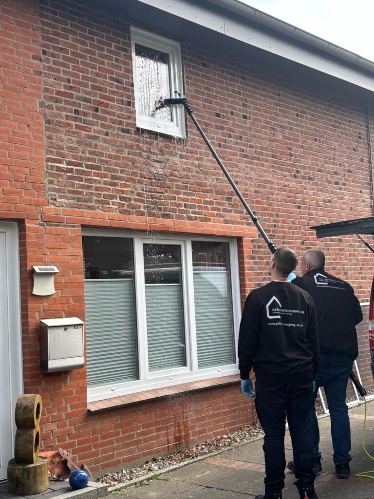 Fensterreinigung